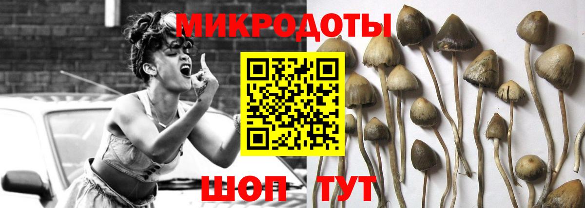 Котовск  Галлюциногенные грибы Cubensis  Вход с VPN 