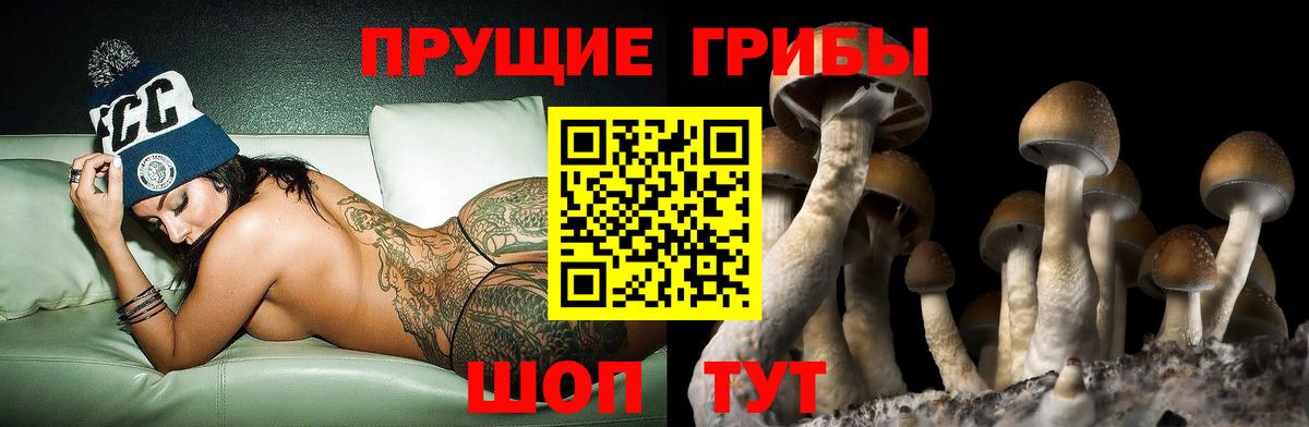 Псилоцибиновые грибы MAGIC MUSHROOMS Котовск